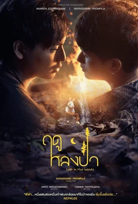 ดูหนังออนไลน์ฟรี Lost in the Woods (2025) ฤดูหลงป่า