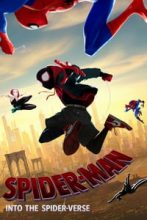 ดูหนังออนไลน์ฟรี Spider-Man Into the Spider-Verse (2018) สไปเดอร์-แมน ผงาดสู่จักรวาล-แมงมุม